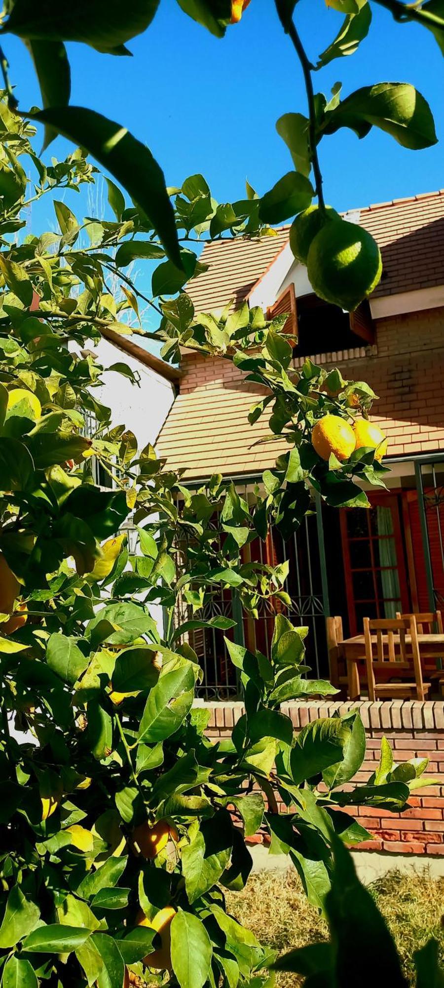 Casa Bravo Bed & Breakfast Mendoza Exterior photo